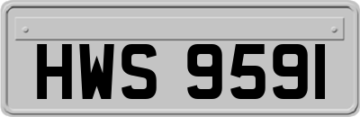 HWS9591