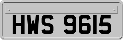 HWS9615