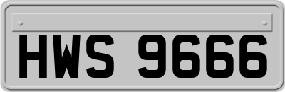 HWS9666