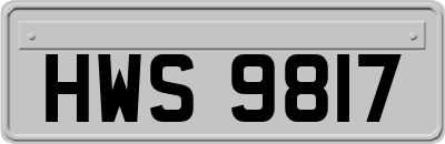 HWS9817