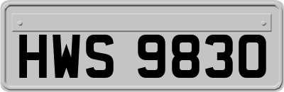 HWS9830