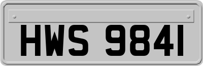 HWS9841