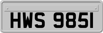 HWS9851