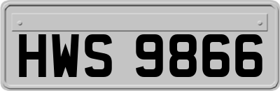 HWS9866