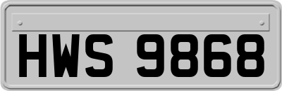 HWS9868