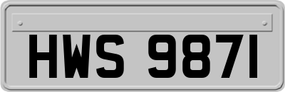 HWS9871