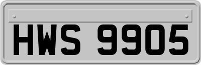 HWS9905