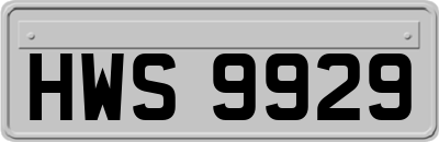 HWS9929