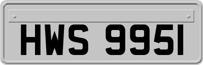 HWS9951