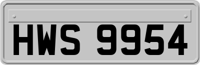 HWS9954