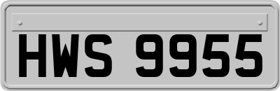 HWS9955