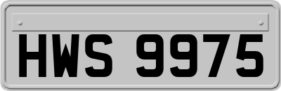 HWS9975