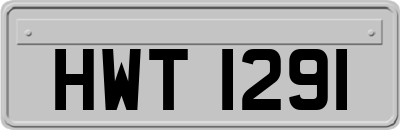 HWT1291