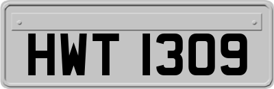 HWT1309