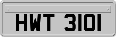 HWT3101