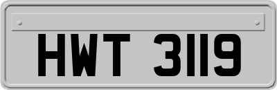 HWT3119