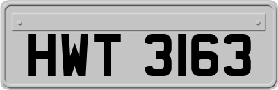 HWT3163