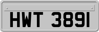 HWT3891