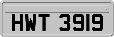 HWT3919