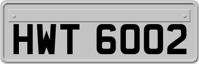 HWT6002