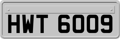 HWT6009