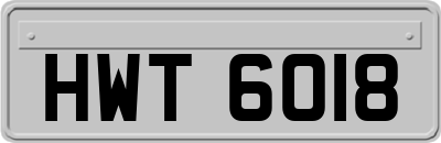 HWT6018