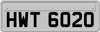 HWT6020