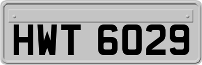 HWT6029