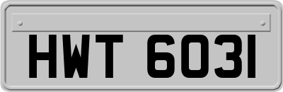 HWT6031