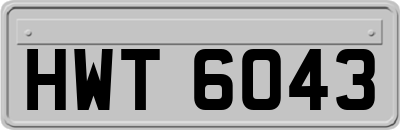 HWT6043