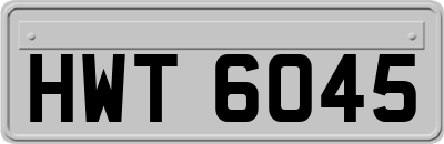 HWT6045