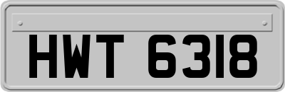 HWT6318