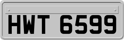 HWT6599