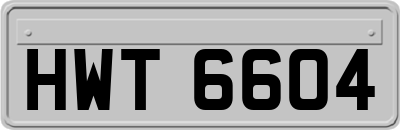 HWT6604