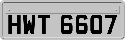 HWT6607
