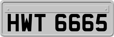 HWT6665