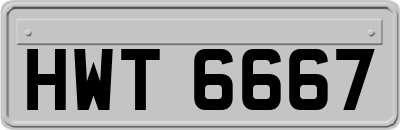 HWT6667