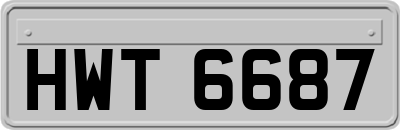 HWT6687