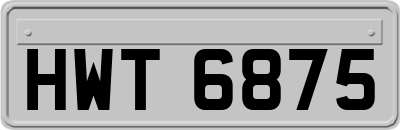 HWT6875