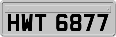 HWT6877