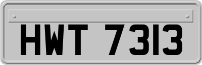 HWT7313