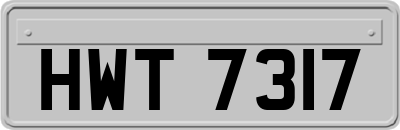 HWT7317