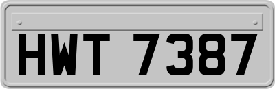 HWT7387