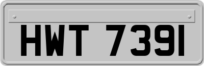 HWT7391