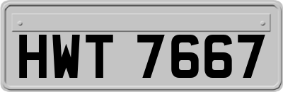 HWT7667