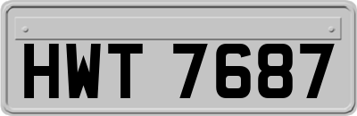 HWT7687