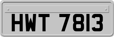 HWT7813