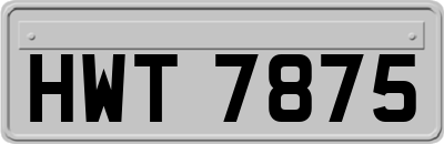 HWT7875