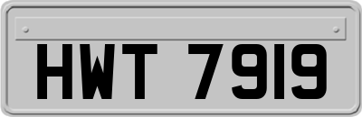 HWT7919