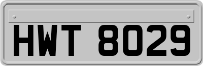 HWT8029